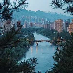 所有软件活动攻略